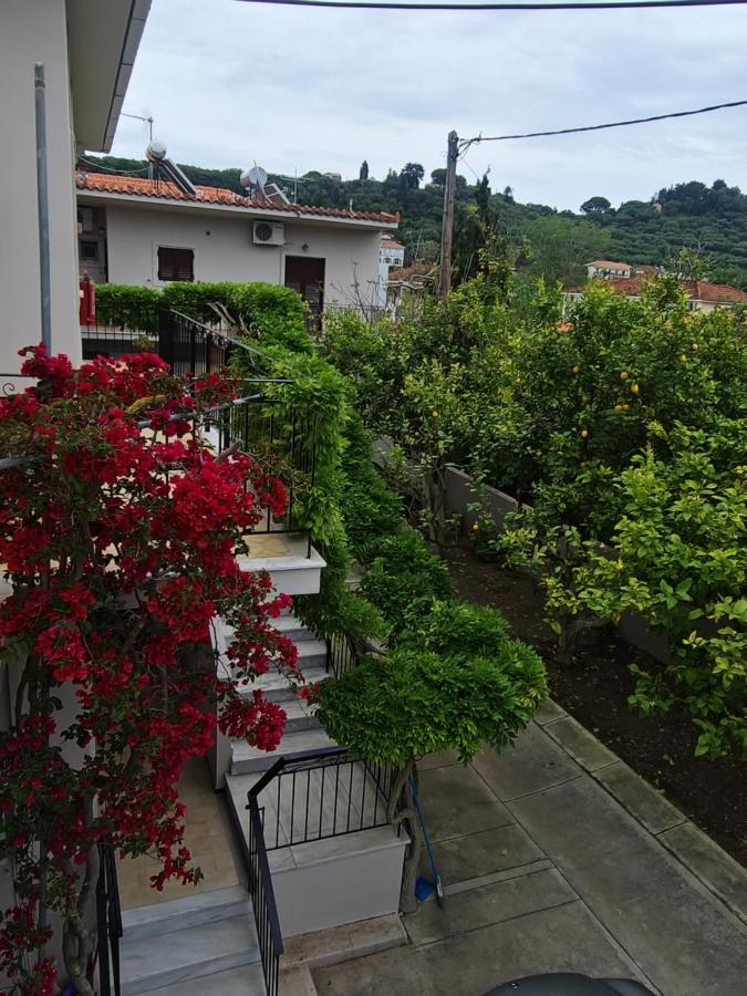 Vita Blu Apart/Hotel Tsilivi  Dış mekan fotoğraf